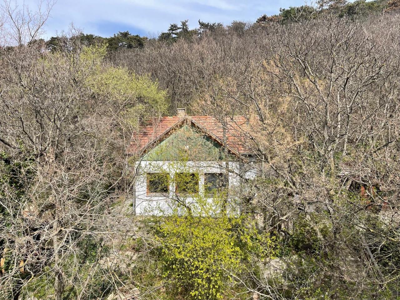 Rustic Cottage & Garden Retreat On Buda Hilltop Budapest Ngoại thất bức ảnh
